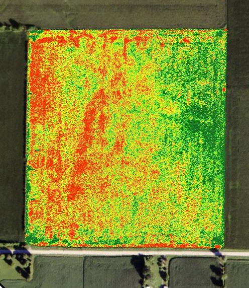 NDVI